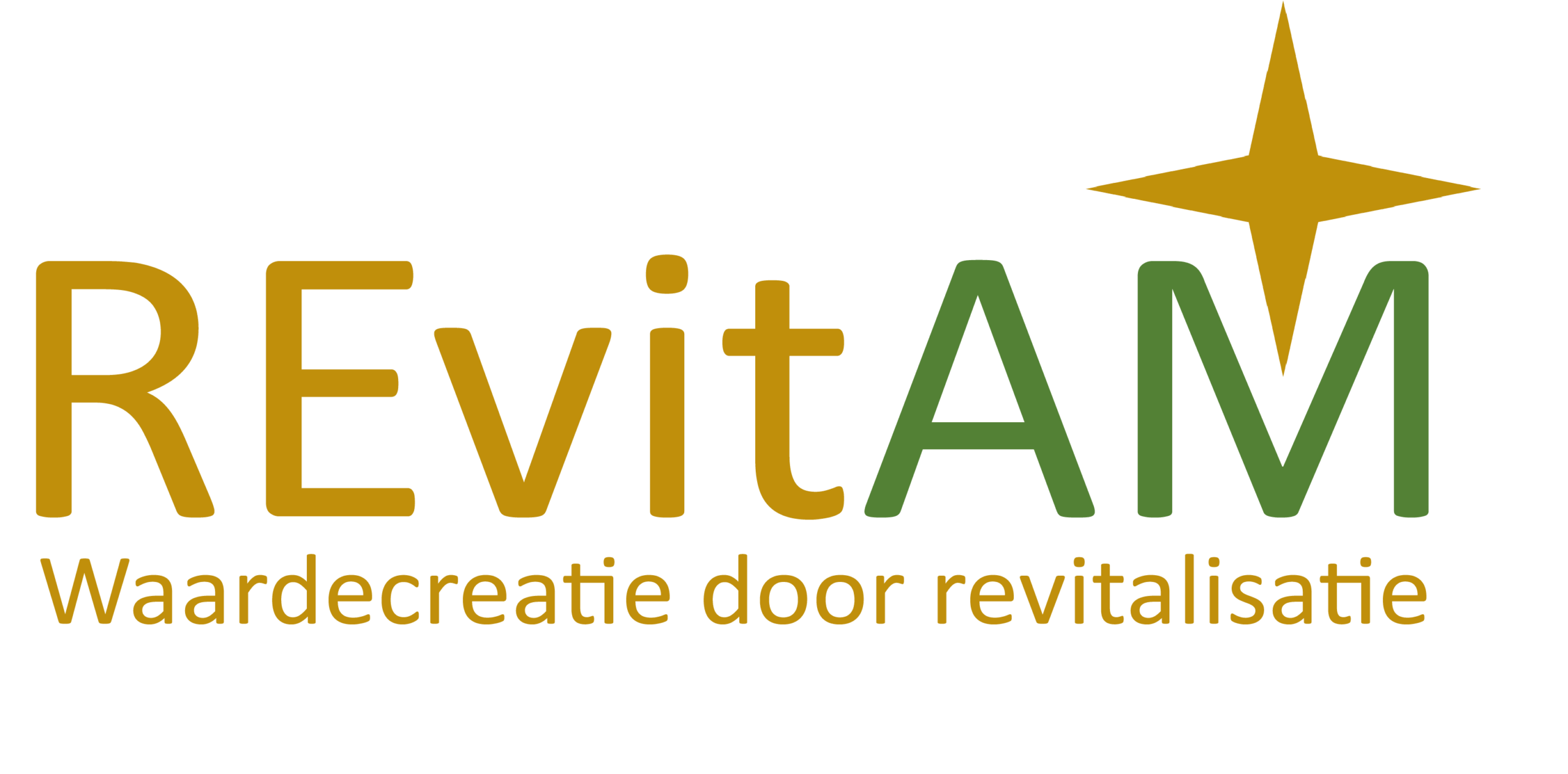 REvitAM